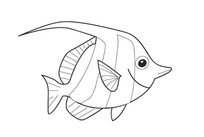 Mẫu tranh tô màu hình con cá đẹp dành cho bé từ 2 đến 5 tuổi