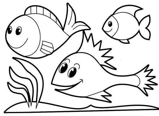 Mẫu tranh tô màu hình 3 chú cá dành cho bé 2 tuổi tập tô