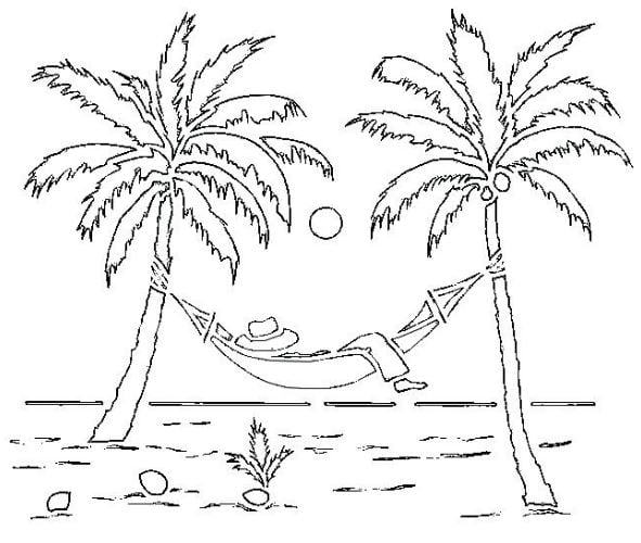 Mô hình tô màu hình cây dừa cho trẻ nhỏ