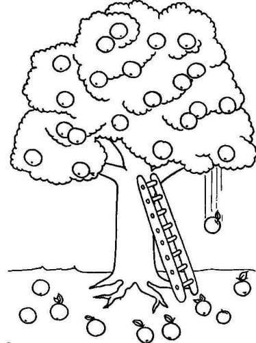 7 kiểu vẽ cây đơn giản và giản dị vẫn rất đẹp lung linh  Cây Hình hình họa Cây xanh