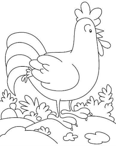 Mẫu tranh tô màu hình chú gà trống dành cho bé