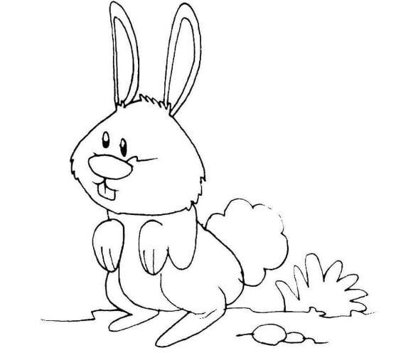 Mẫu tranh tô màu cho bé hình con thỏ