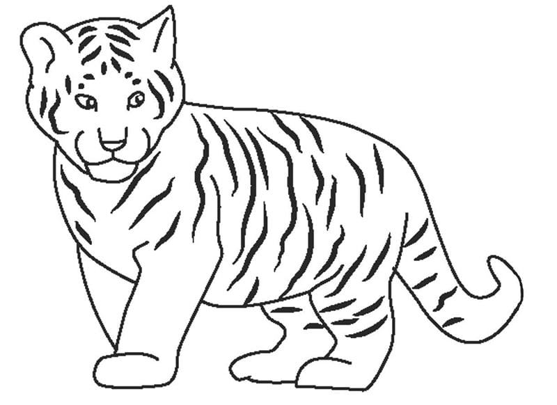 Tranh tô màu động vật - hình con hổ