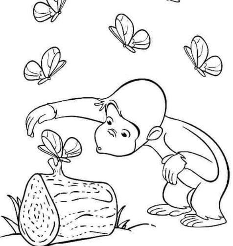 Tranh tô màu cho bé khỉ chơi với bướm