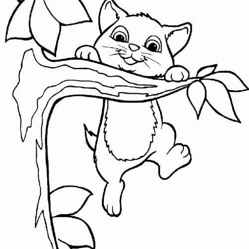Mẫu tranh tô màu cho bé hình con mèo trèo cây