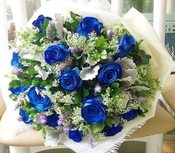 Bó hoa hồng xanh dương đẹp