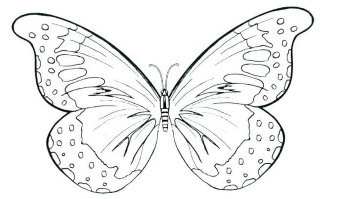 99+ Bức tranh tô màu con bướm cực đẹp và đơn giản - Đề án 2020 - Tổng hợp  chia sẻ hình ảnh, tranh vẽ, biểu mẫu trong lĩnh vực giáo dục