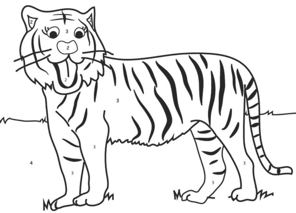 Chi tiết 58 về tô màu con hổ mới nhất  trieuson5