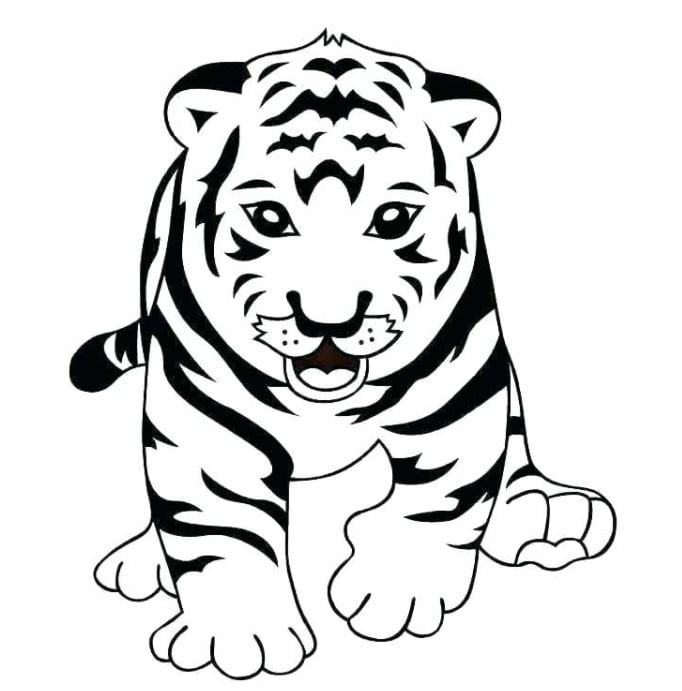 Cách vẽ một con hổ minh hoạ mang phong cách hoạt hình siêu dễ thương trong  Adobe Illustration