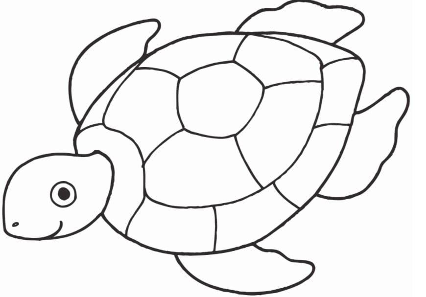 Tải Ngay 30 Hình Con Rùa Tô Màu Đẹp Cho Bé Năm 2023