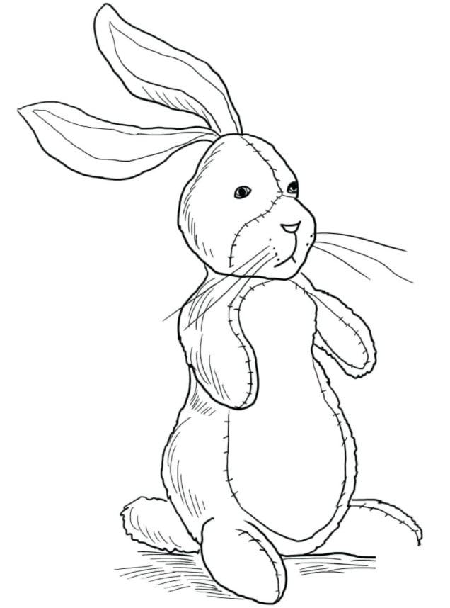 Hướng dẫn cách vẽ con thỏ đơn giản với 8 bước chi tiết ai cũng thực hiện  được