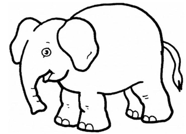 Đẹp Con voi được tô màu trong tranh