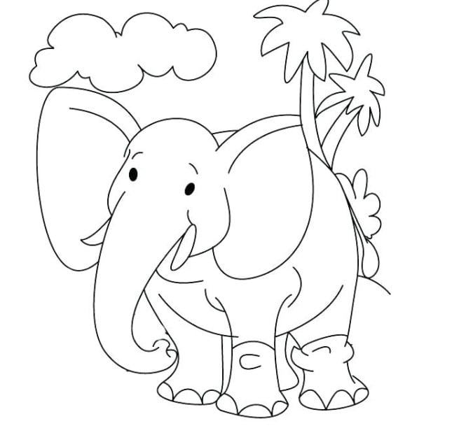 Xem hơn 48 ảnh về hình vẽ con voi đơn giản  daotaonec