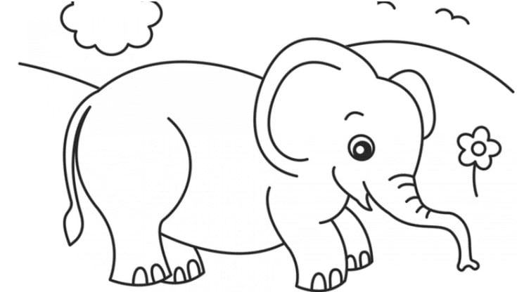 Xem hơn 48 ảnh về hình vẽ con voi đơn giản  NEC