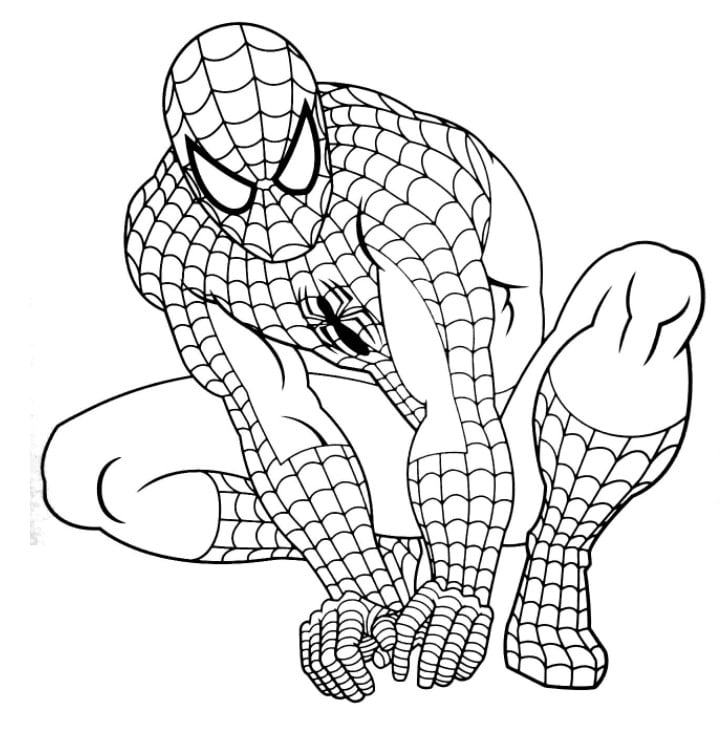 Chi Tiết Với Hơn 52 Về Spider Man Tô Màu Hay Nhất - Du Học Akina