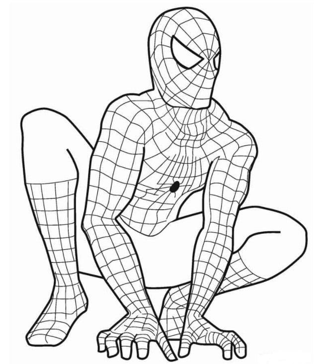 Tượng thạch cao tô màu Spider Man Tượng tô màu Người Nhện size lớn tặng  kèm cọ vẽ và màu vẽ  Lazadavn
