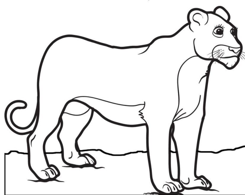 Chia sẻ 70 tranh vẽ sư tử mới nhất  Tin Học Vui