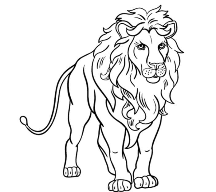 Chia sẻ 70 tranh vẽ sư tử mới nhất  thtantai2eduvn
