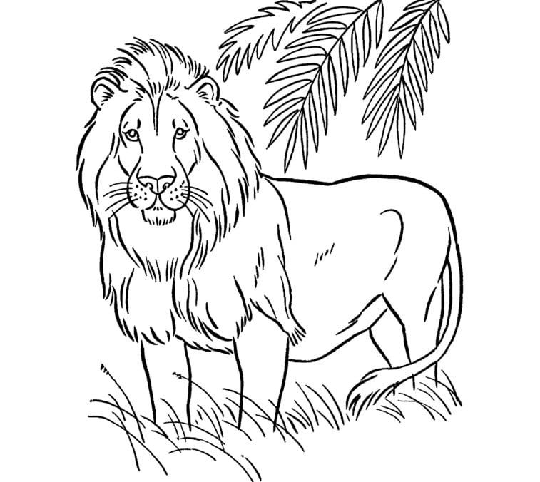 25 Tranh tô màu con sư tử dũng mãnh dễ tải dễ in Update 2023