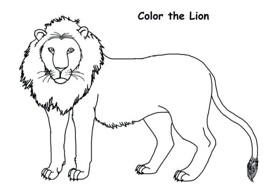 Chi tiết hơn 62 về tranh tô màu con sư tử hay nhất  trieuson5