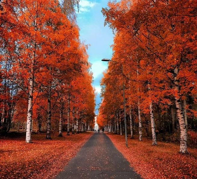 50 Hình ảnh mùa thu đẹp lãng mạn ngất ngây 2021 Cẩm Nang Tiếng Anh Bostonenglisheduvn bostonenglisheduvn